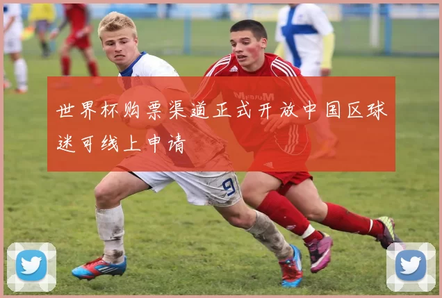 世界杯购票渠道正式开放中国区球迷可线上申请