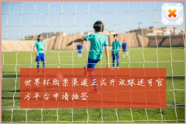世界杯购票渠道正式开放球迷可官方平台申请抽签