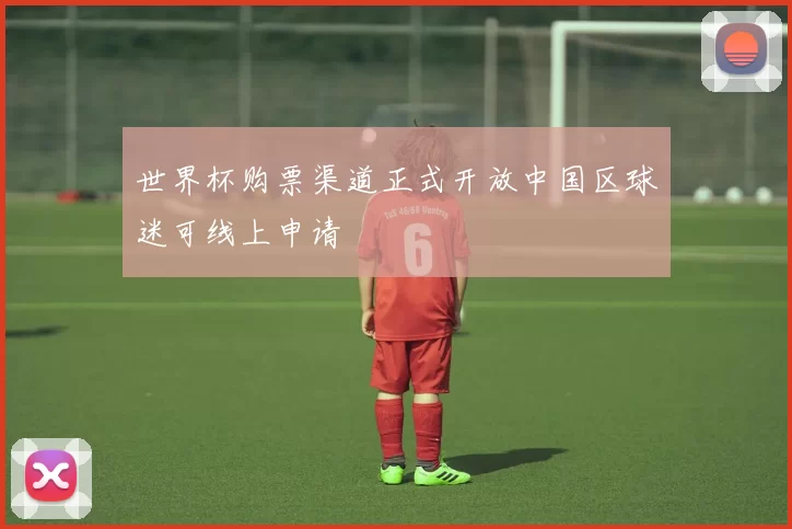 世界杯购票渠道正式开放中国区球迷可线上申请