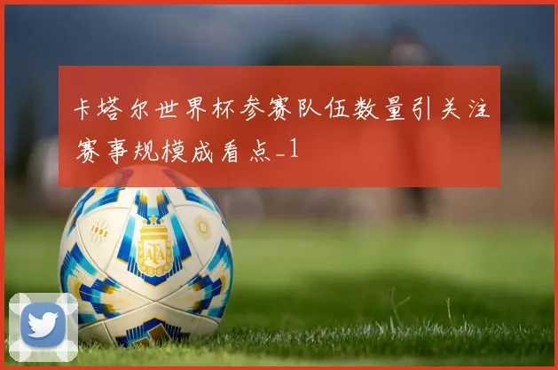 卡塔尔世界杯参赛队伍数量引关注 赛事规模成看点_1
